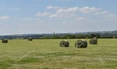 Tocht Stappen Verviers - 20210531 - Stembert 7.5 Km - Photo 10