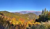 Tocht Mountainbike Remollon - VTT - Remollon - Vière - Col Lebraut - Rousset - Remollon - Photo 9