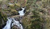 Trail Walking Le Tholy - Les 2 cascades du Tendon (grand tour) - Photo 4