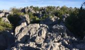 Trail Walking Sauve - Sauve - Mer des rochers  - Photo 4