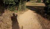 Trail Walking Estella-Lizarra - Mis Arcos - Photo 5