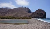 Percorso A piedi La Aldea de San Nicolás - Ruta Playa de El Puerto - Photo 10