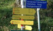Tour Zu Fuß Sankt Veit im Pongau - Urpass-Gamskögerl-Hochegg - Photo 3