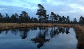 Excursión A pie Sittensen - Nordpfad 'Börde Sittensen' - Photo 10