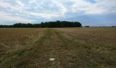 Tocht Stappen Semblançay - Semblancay - 19km 4h10 40mn - 2016 05 05 - Photo 1