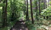 Trail Walking Huy - Huy 20 km bois  - Photo 6
