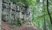 Trail Walking Ernzen - Balade Ernzen Allemagne  - Photo 8
