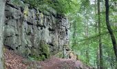 Excursión Senderismo Ernzen - Balade Ernzen Allemagne  - Photo 8