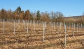 Excursión Senderismo Châtillon - Châtillon - La vallée de l'Azergues - Photo 18