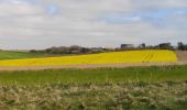 Trail Walking Audresselles - Cran le Noirda - Photo 14