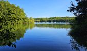 Tocht Stappen Froidchapelle - Balade au Lac de l'Eau d'Heure - Photo 9