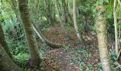 Tocht Stappen Nogent-le-Bernard - Nogent-le-Bernard - Menhir de Courtevrais - Photo 7