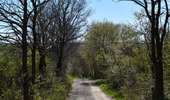 Trail Walking Baelen - 20210427 - Perkiets 5.6 Km - Photo 19