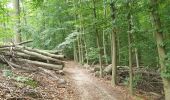 Trail Walking Sint-Genesius-Rode - 2020-09-01 - Forêt de Soignes- Rhode Saint Genève  - Photo 16