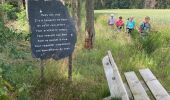 Trail Walking Houffalize - Les deux Ourthes au départ de Filly - Photo 7