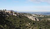 Tour Wandern Auriol - Ravin des Infernets -Tête de chien - Photo 12