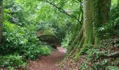 Trail Walking Maen-Roch - GR_37_AD_18_Maen-Roch_Chatellier_20210617 - Photo 4