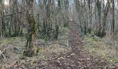 Trail Walking Velars-sur-Ouche - Velars sur ouche  - Photo 5