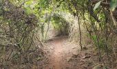 Randonnée Marche Guayaquil - Cerro Azul (Antenas) de ESPOL - Photo 8