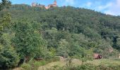 Trail Walking Saint-Hippolyte - Autour du Haut Koenigsbourg  - Photo 1