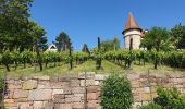 Percorso Marcia Mittelwihr - Les perles du vignoble : Mittelwihr - Beblenheim - Zellenberg - Hunawihr - Riquewihr - Sigolsheim - Photo 8