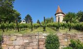 Randonnée Marche Mittelwihr - Les perles du vignoble : Mittelwihr - Beblenheim - Zellenberg - Hunawihr - Riquewihr - Sigolsheim - Photo 8