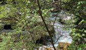 Tour Zu Fuß Gourdon - Gorges du loup - Photo 7