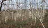 Trail Walking Wanze - Antheit 070125 - Photo 16