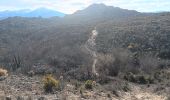 Randonnée Marche Ille-sur-Têt - puig pedros  - Photo 15