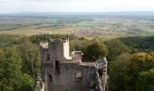 Trail Walking Scherwiller - Scherwiller - Chateaux Ramstein-Ortenbourg-Berstein 2022-10 - Photo 11