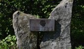 Tour Wandern Gedinne - RB-Na-30-La Croix-Scaille - Photo 2