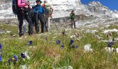 Percorso Marcia Pralognan-la-Vanoise - Tour de l''aiguille de la Vanoise - Photo 11