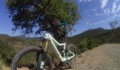 Trail Mountain bike Saint-Raphaël - activity_9094242808 - Photo 4