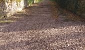 Excursión Senderismo Pouilley-les-Vignes - Pouilley les vignes - Photo 12