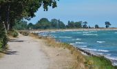 Tour Zu Fuß Dahme - Große Holzkoppel-Route - Photo 2