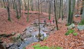Trail Walking Spa - RS Spa 2024_11_17 - Photo 20