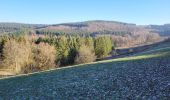 Trail Walking Bouillon - Rochehaut 110124 - Photo 5