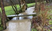 Tour Laufen Gerpinnes - Pluie et vent d’hiver - Photo 3