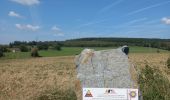 Trail Walking Manhay - marche adeps Manhay 10 sept - Photo 1