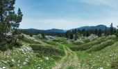 Trail Walking Romeyer - PAS DE PISON COL DES BACHASSON - Photo 13