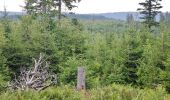 Tour Zu Fuß Baiersbronn - Baiersbronner Himmelsweg: Naturgewalten-Tour - Photo 3