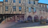 Tocht Stappen Castelnau-de-Montmiral - boucle castelnau de montmiral - Photo 1