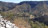 Tour Wandern Montdardier - GR7 Cirque de Navacelle - Photo 4