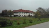 Tour Zu Fuß Steyregg - Stadtwanderweg Plesching - Photo 4