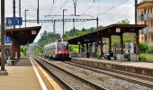 Tour Zu Fuß Uster - Nänikon-Greifensee - Fällanden Rohr - Photo 9