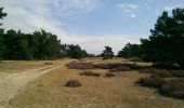 Randonnée Vélo Ede - Otterlo Hoge Veluwe (PVDB) - Photo 10