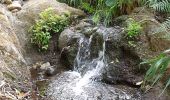 Tocht Te voet Telde - Barranco de los Cernícalos - Photo 2