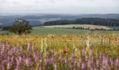 Tocht Stappen Marche-en-Famenne - Wandeling van Hedrée - Photo 1