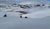 Randonnée Raquettes à neige Porta - Pas de la Case  côté France  variante  - Photo 4