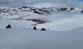 Tocht Sneeuwschoenen Porta - Pas de la Case  côté France  variante  - Photo 4